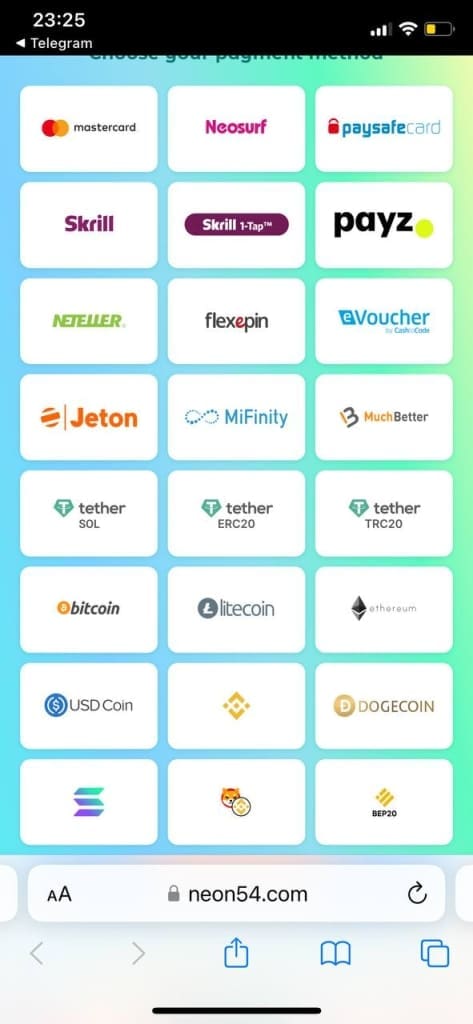 Neon54 payments list
