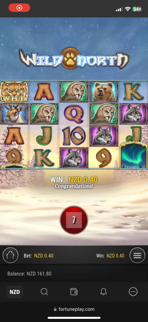 Fortune Play Casino Games
