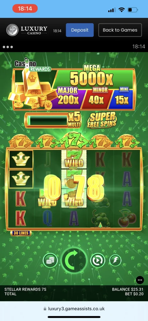 Luxury Casino Game
