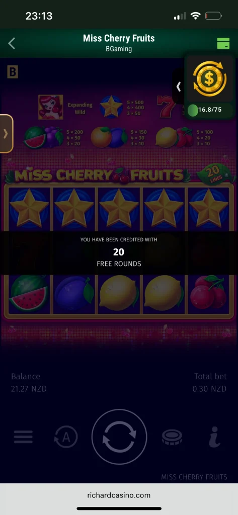 Richard Casino Game