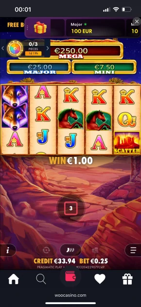 Woo Casino Game