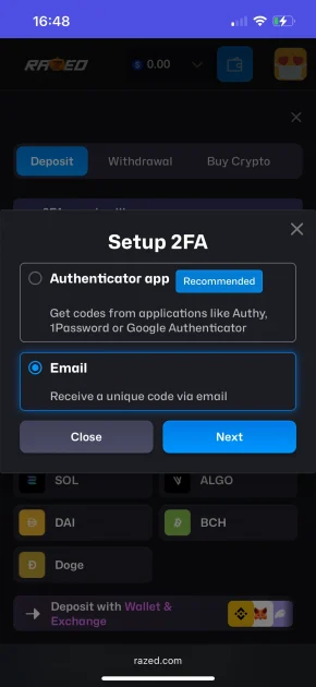 Razed Casino Payment